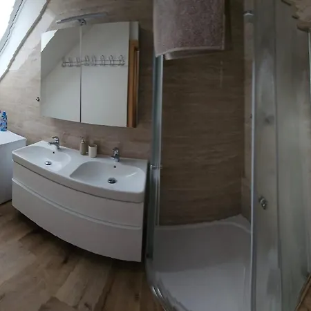 - Cykloubytovani U Rasku ホームステイ Dolní Dunajovice